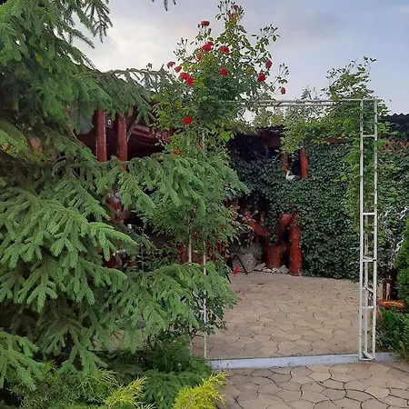 Gasthuis Casa Neagu Covasna